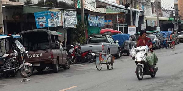 พระหนูที ให้หมาลากรถ พระหนูที ให้หมาลากรถ