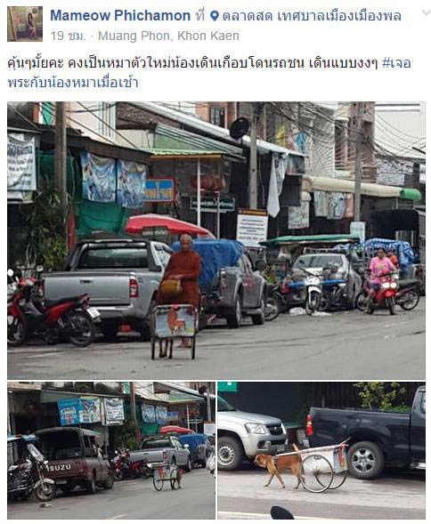 พระหนูที ให้หมาลากรถ พระหนูที ให้หมาลากรถ