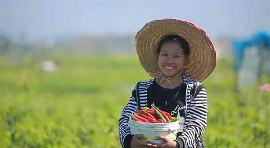 เด็กกตัญญู เด็กกตัญญู