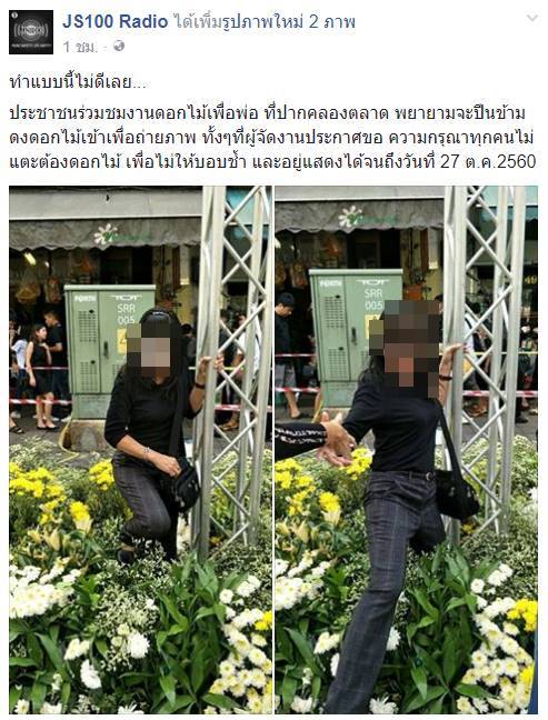 ถนนดอกไม้เพื่อพ่อ ถนนดอกไม้เพื่อพ่อ