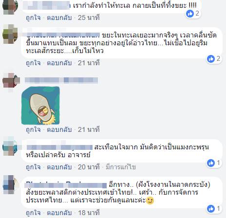 วาฬกินถุงพลาสติก วาฬกินถุงพลาสติก