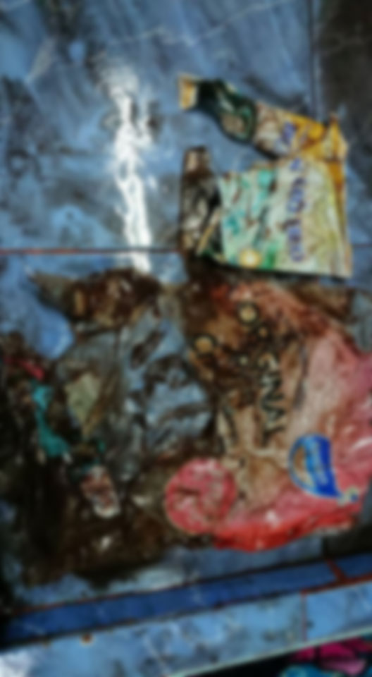 วาฬกินถุงพลาสติก วาฬกินถุงพลาสติก