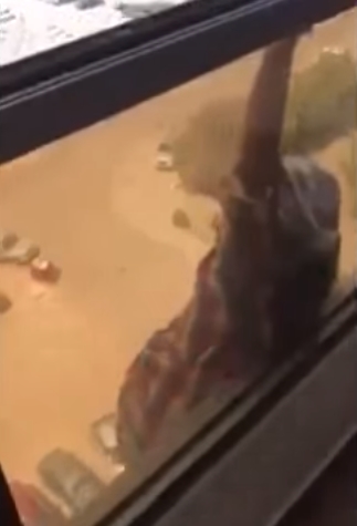 คนตกตึก คนตกตึก