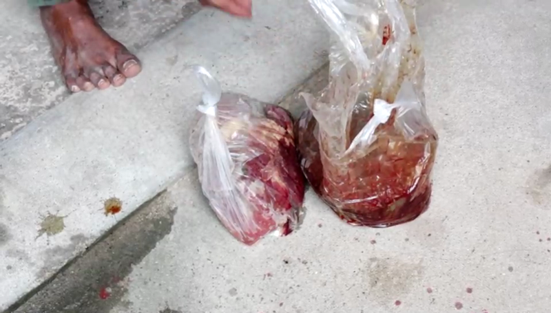 วัวติดพิษสุนัขบ้า วัวติดพิษสุนัขบ้า