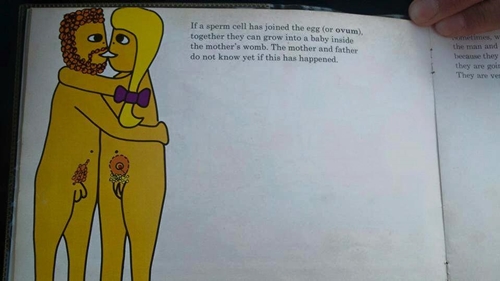 การ์ตูนสอนเพศศึกษา การ์ตูนสอนเพศศึกษา