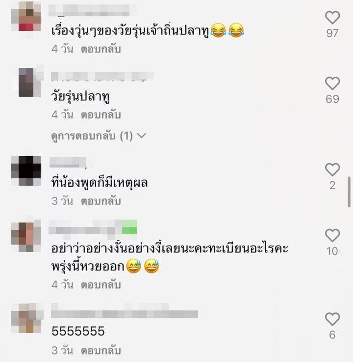 แมวเจ้าถิ่น แมวเจ้าถิ่น