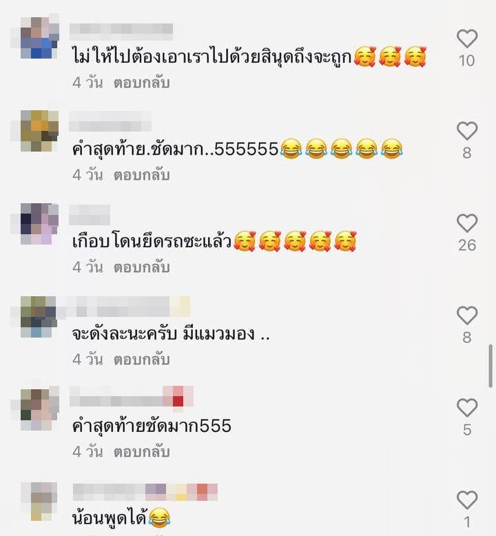 แมวเจ้าถิ่น แมวเจ้าถิ่น