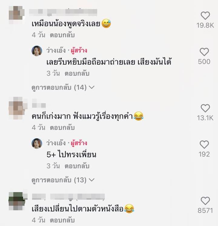 แมวเจ้าถิ่น แมวเจ้าถิ่น