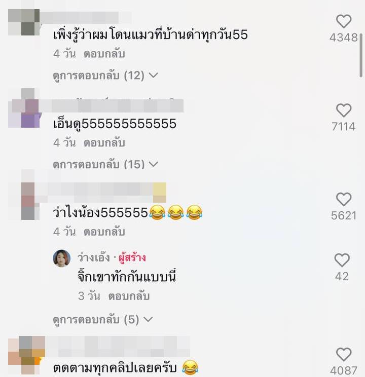 แมวเจ้าถิ่น แมวเจ้าถิ่น