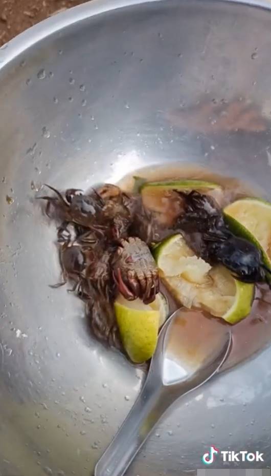 กินปูเป็น ๆ กินปูเป็น ๆ