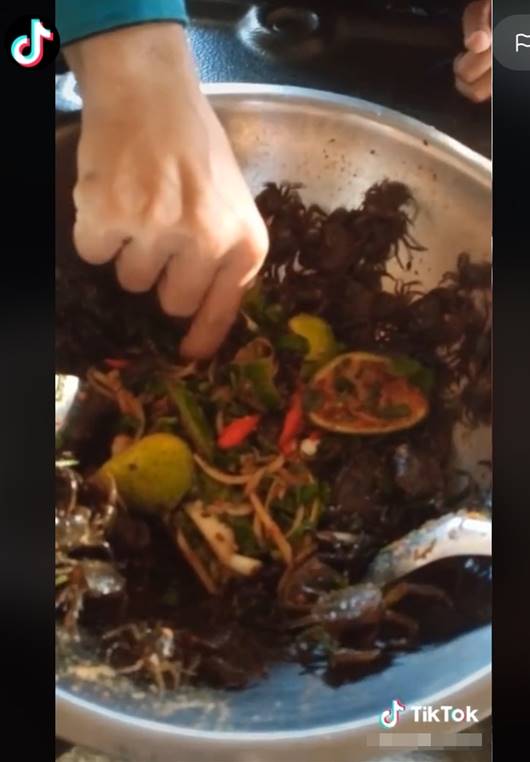 กินปูเป็น ๆ กินปูเป็น ๆ