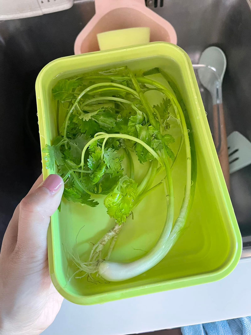 วิธียืดอายุผัก วิธียืดอายุผัก