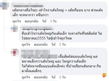 เส้นใหญ่ เส้นใหญ่