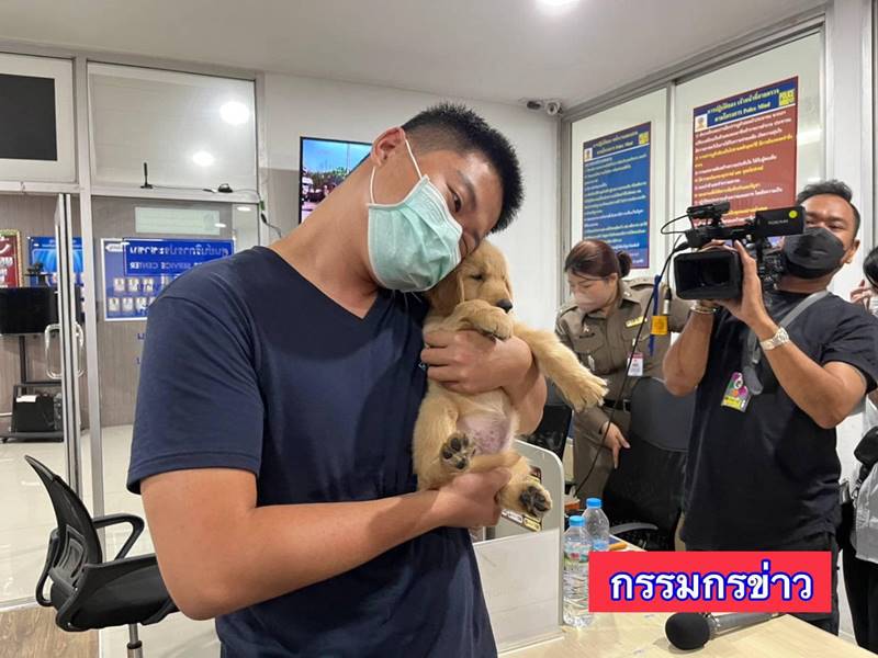 โกลเด้นหลงทาง โกลเด้นหลงทาง