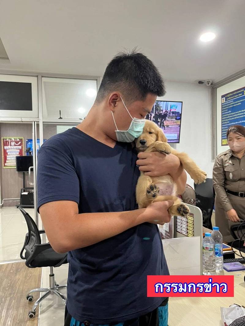 โกลเด้นหลงทาง โกลเด้นหลงทาง