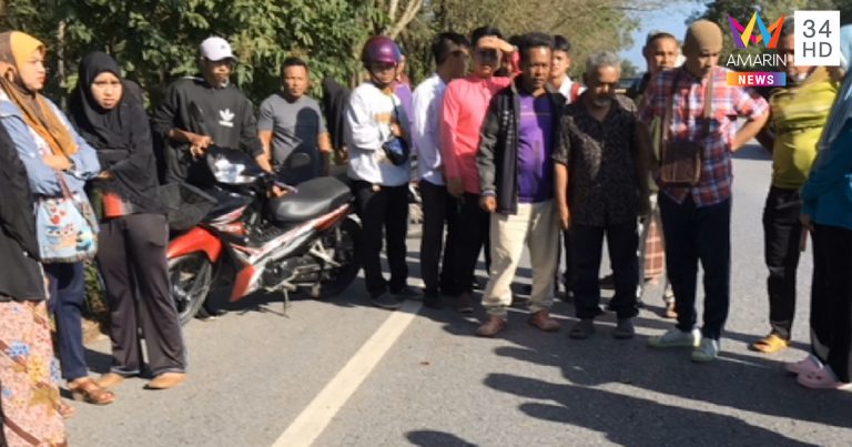 ครูถูกกิ่งไม้ทับ ครูถูกกิ่งไม้ทับ