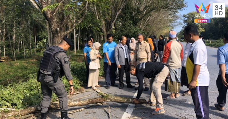 ครูถูกกิ่งไม้ทับ ครูถูกกิ่งไม้ทับ