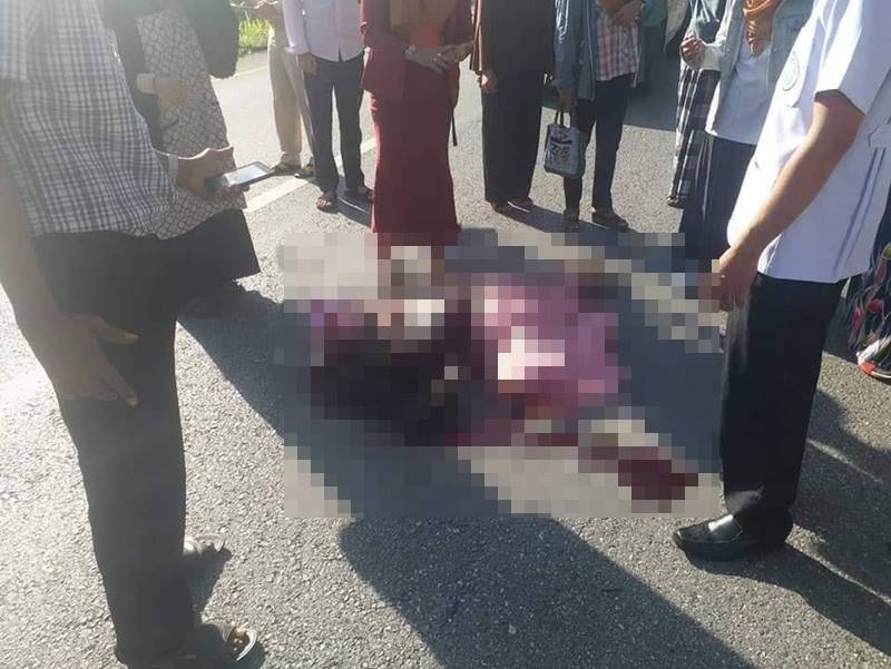 ครูถูกกิ่งไม้ทับ ครูถูกกิ่งไม้ทับ