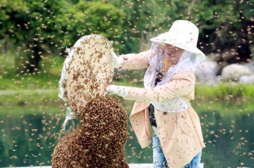 ชายจีนทุบสถิติเลี้ยงผึ้งบนตัวนานสุดในโลก ชายจีนทุบสถิติเลี้ยงผึ้งบนตัวนานสุดในโลก