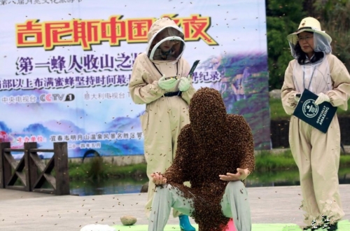 ชายจีนทุบสถิติเลี้ยงผึ้งบนตัวนานสุดในโลก ชายจีนทุบสถิติเลี้ยงผึ้งบนตัวนานสุดในโลก