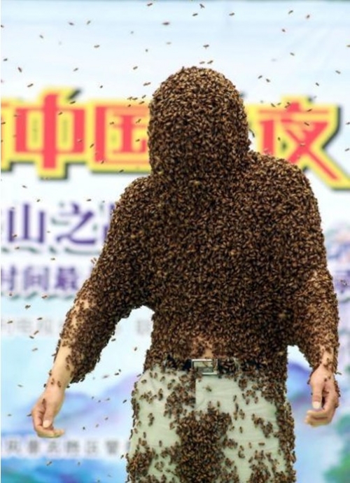 ชายจีนทุบสถิติเลี้ยงผึ้งบนตัวนานสุดในโลก ชายจีนทุบสถิติเลี้ยงผึ้งบนตัวนานสุดในโลก