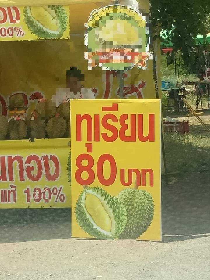 ทุเรียน 80 ทุเรียน 80