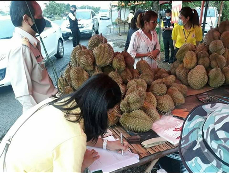 ทุเรียน 80 ทุเรียน 80