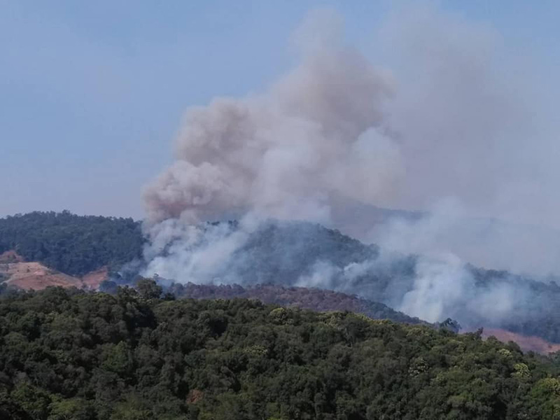 ไฟป่า ไฟป่า