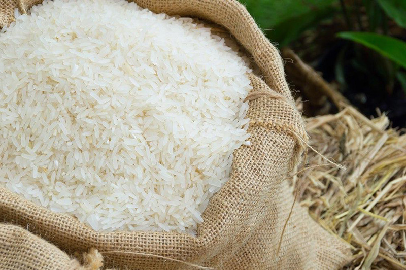 ราคาข้าวตกต่ำ ราคาข้าวตกต่ำ