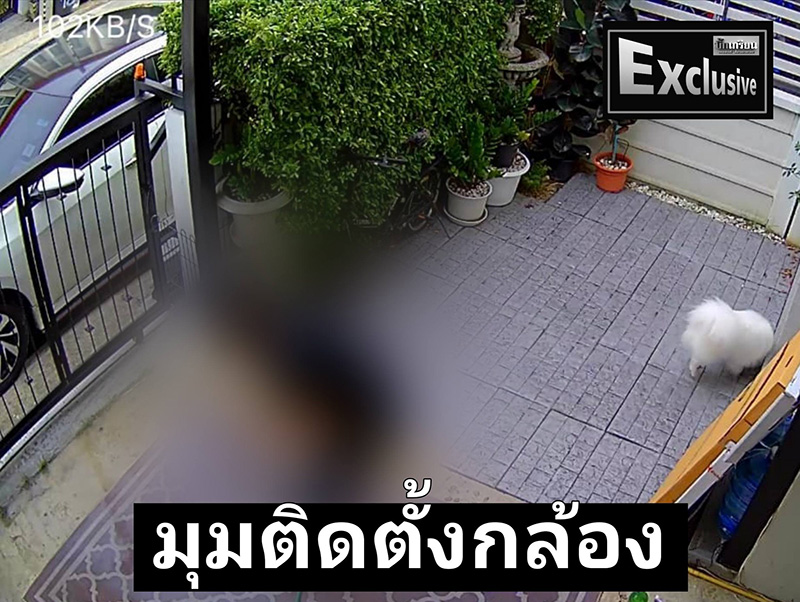 เพื่อนบ้านเล่า คืนที่ นัท ณัฐวุฒิ เสียชีวิต เพื่อนบ้านเล่า คืนที่ นัท ณัฐวุฒิ เสียชีวิต