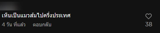 เจอแมวส้มที่บันไดห้าง เรียกยังไงก็ไม่หัน ก่อนเงิบแรง เจอแมวส้มที่บันไดห้าง เรียกยังไงก็ไม่หัน ก่อนเงิบแรง