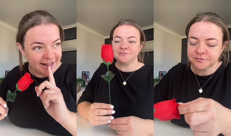 กุหลาบของเล่น กุหลาบของเล่น