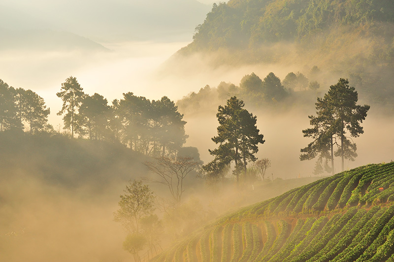 สภาพอากาศ สภาพอากาศ