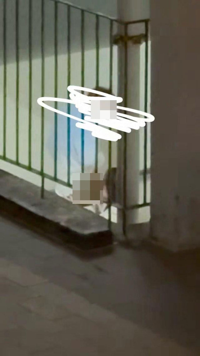 คู่รัก คู่รัก