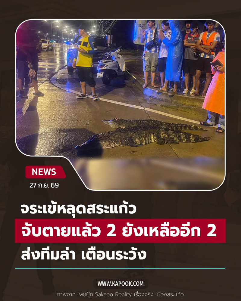 จระเข้หลุด จระเข้หลุด