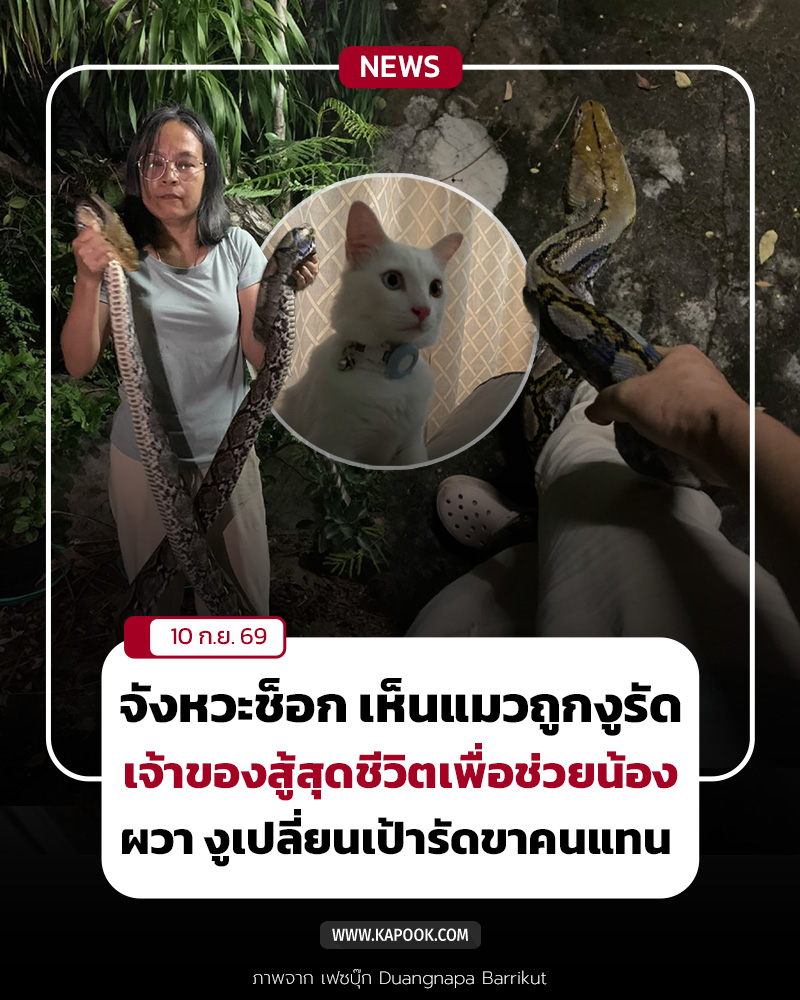 งูรัดแมว งูรัดแมว