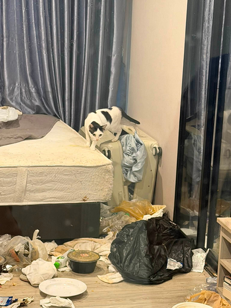 เช่าคอนโด เช่าคอนโด