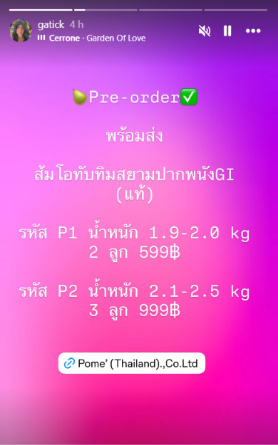 กระติก อิจศรินทร์ กระติก อิจศรินทร์