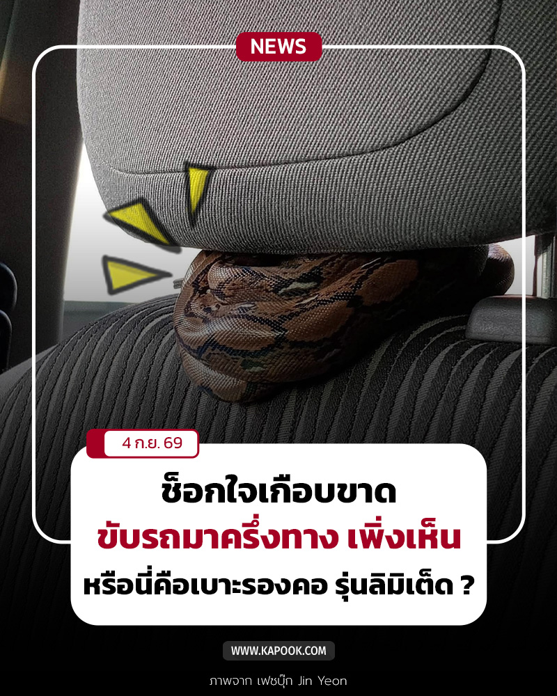 งูเหลือม งูเหลือม
