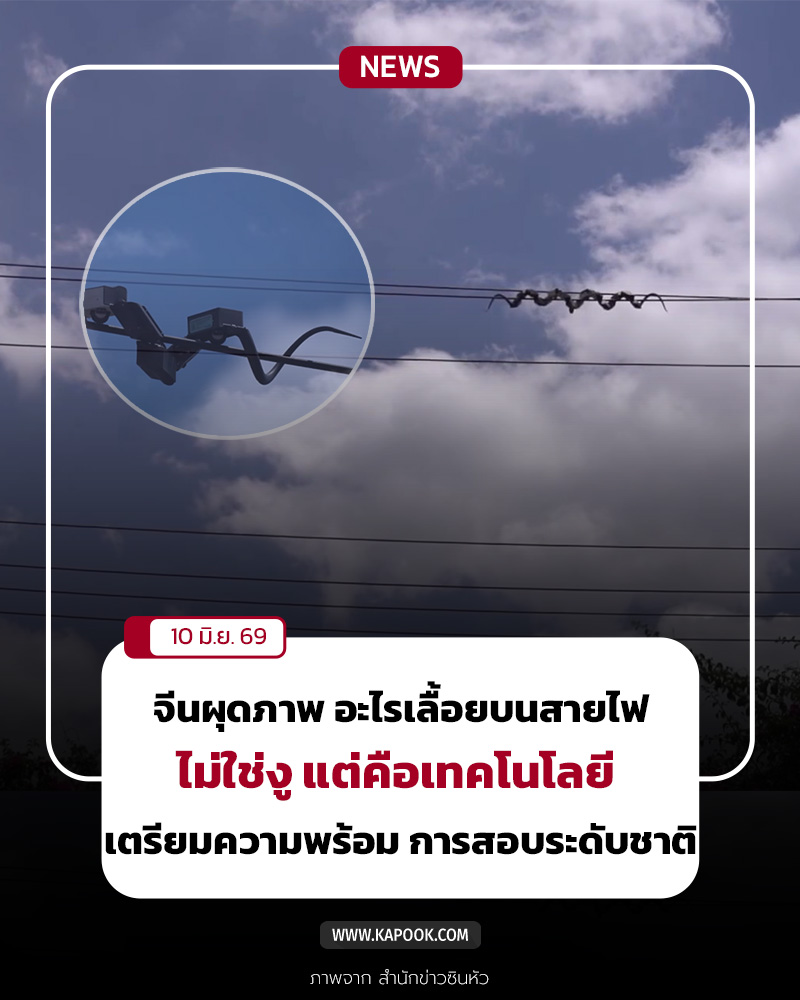 งูบนสายไฟ งูบนสายไฟ