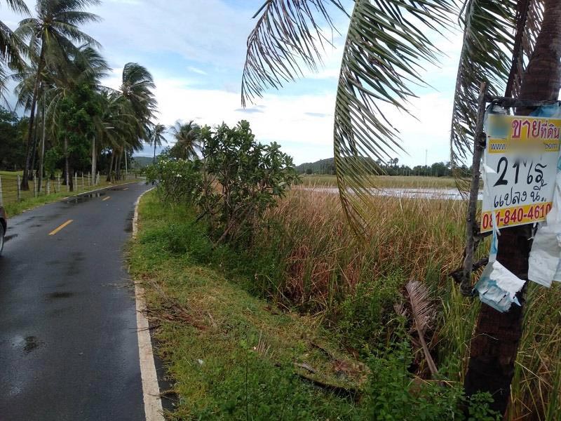 ที่ดินครอบครัวแพรวา ที่ดินครอบครัวแพรวา