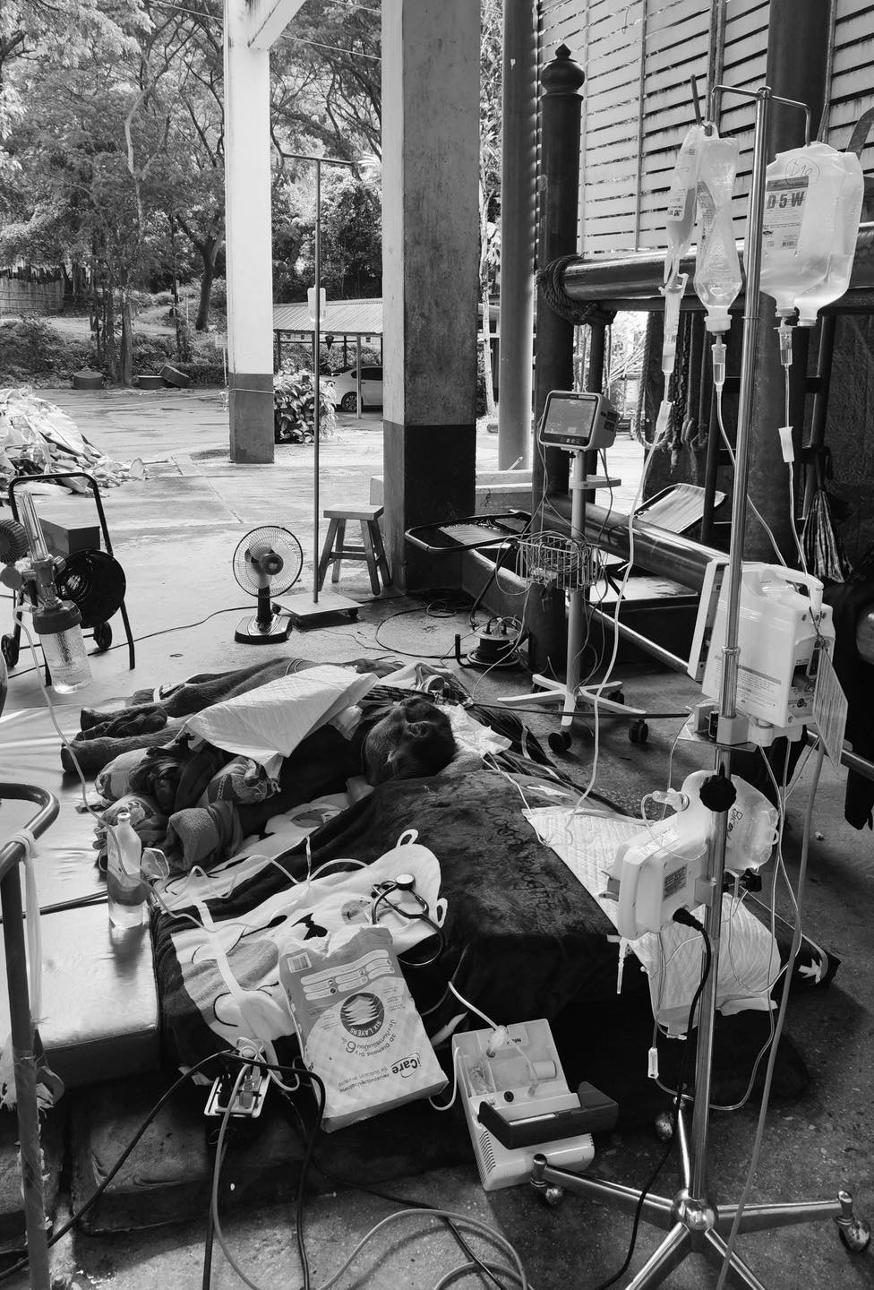 ช้างเด็กขาหัก ช้างเด็กขาหัก