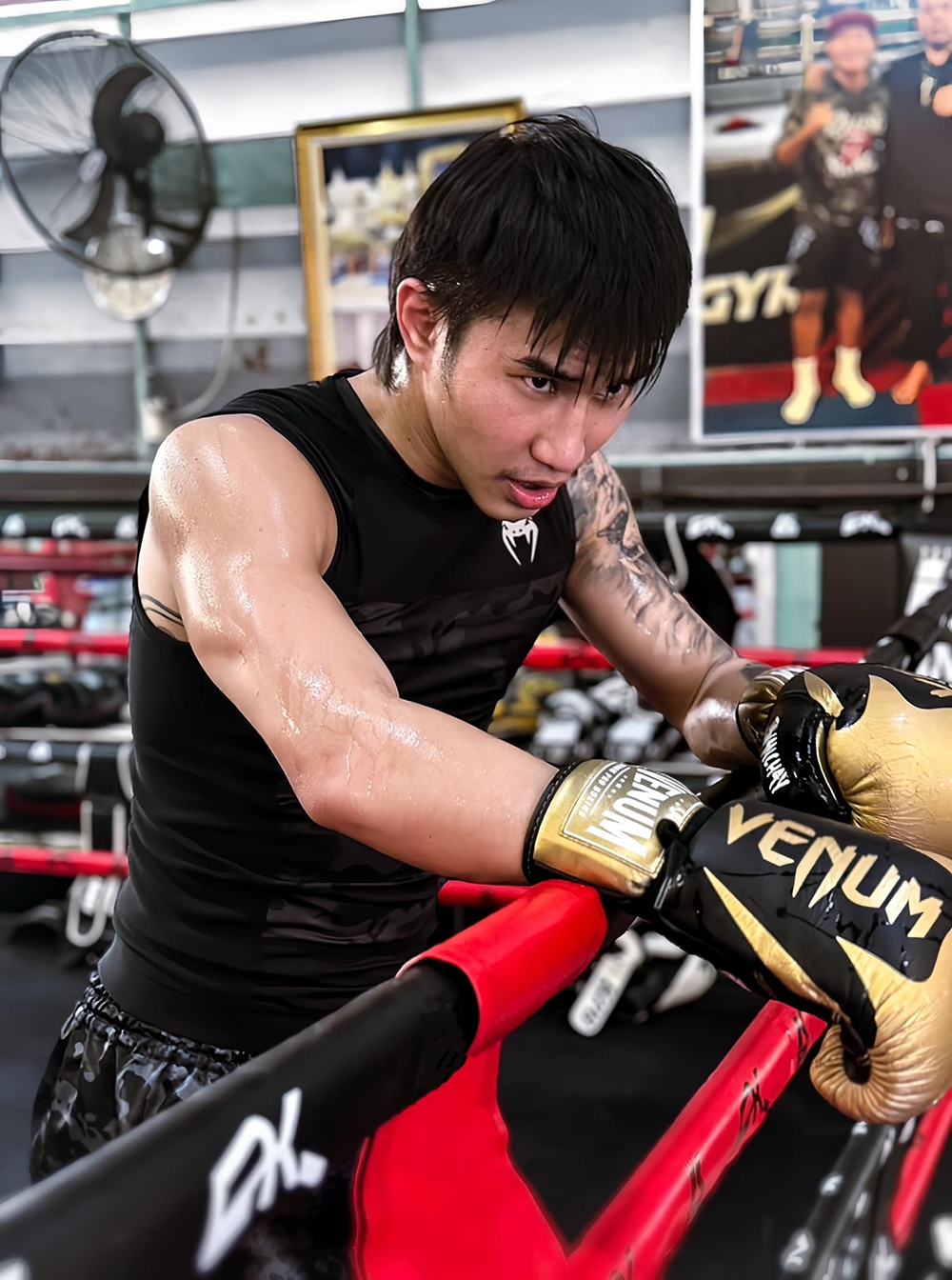 ตะวันฉาย พีเค.แสนชัย ตะวันฉาย พีเค.แสนชัย