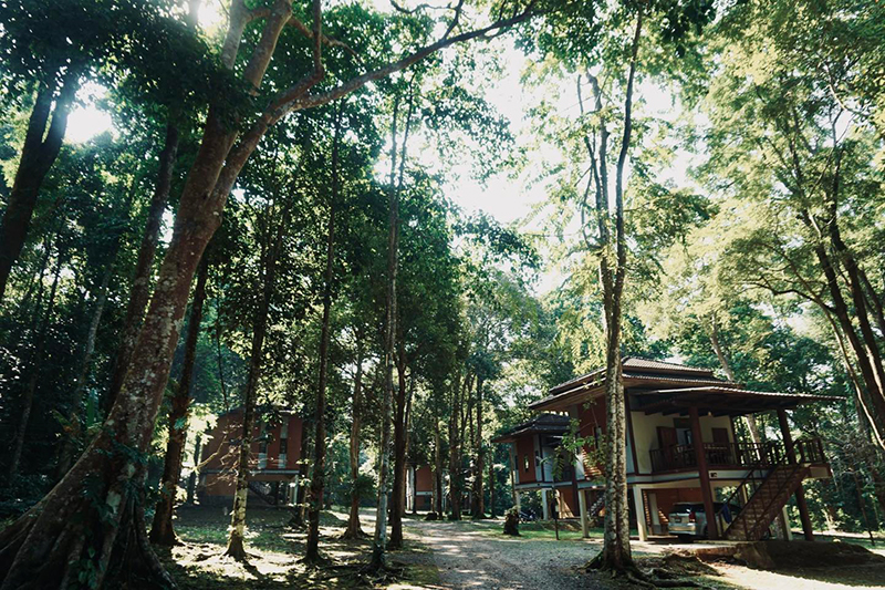 อุทยานแห่งชาติเขาชะเมา อุทยานแห่งชาติเขาชะเมา