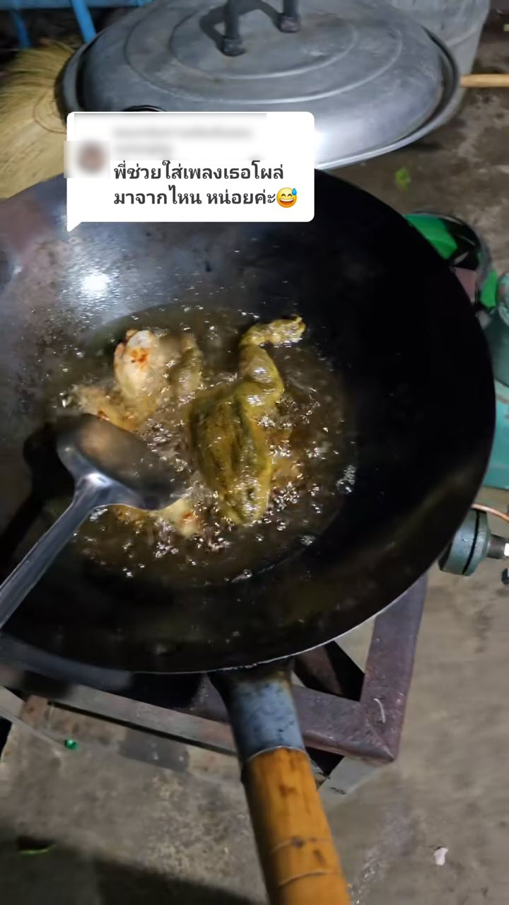 ทอดกบ ทอดกบ