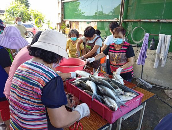 ไม่ใช่นกฮูกผี แต่คือปลาตากแห้ง ไม่ใช่นกฮูกผี แต่คือปลาตากแห้ง