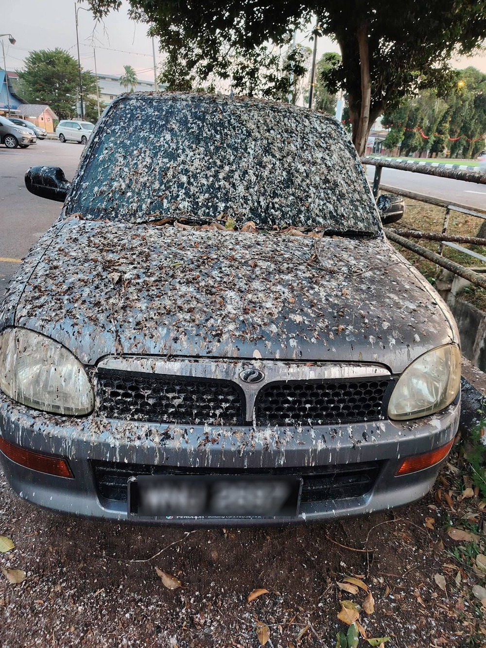 จอดรถทิ้งไว้ 3 สัปดาห์ เจอขี้นกเต็ม ๆ จอดรถทิ้งไว้ 3 สัปดาห์ เจอขี้นกเต็ม ๆ