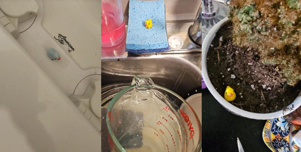 แม่บ้านลาออก หลังเจอเกมทดสอบความขยันสุดแปลก แม่บ้านลาออก หลังเจอเกมทดสอบความขยันสุดแปลก