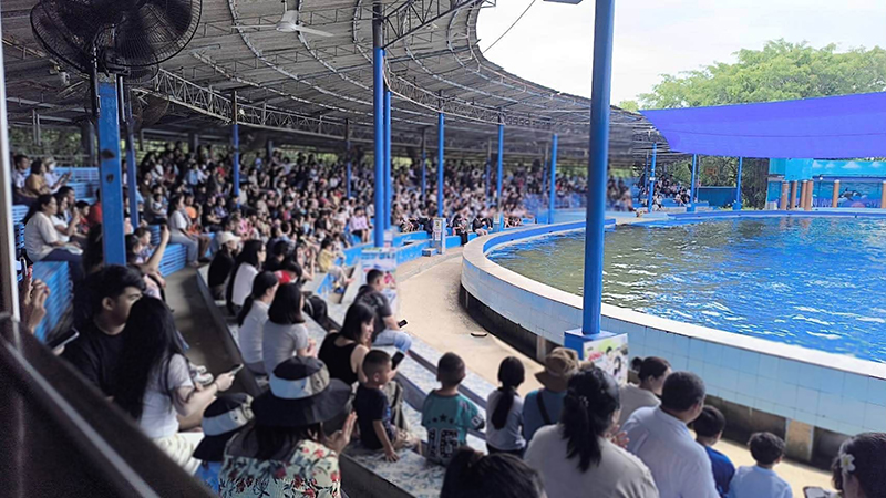 Oasis Sea World Oasis Sea World