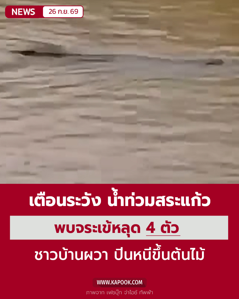 จระเข้หลุด น้ำท่วม จระเข้หลุด น้ำท่วม